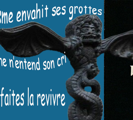 vouivre CVC