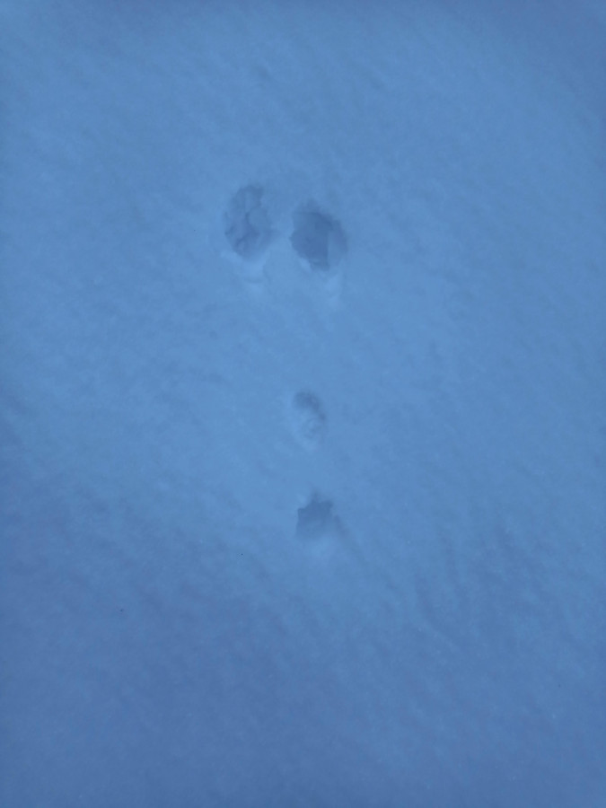 traces